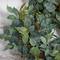 23&#x27;&#x27; Royal Ruscus, Fittonia &#x26; Berries Wreath